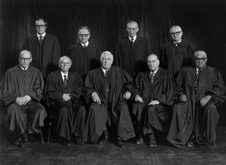 1976 Supreme Court