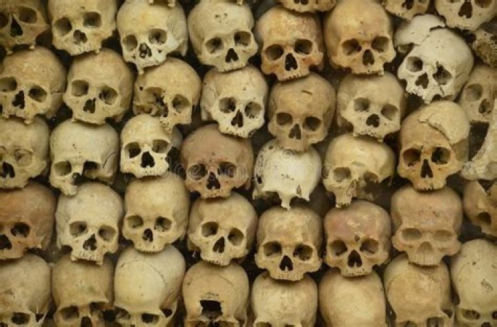 A Wall Of Skulls