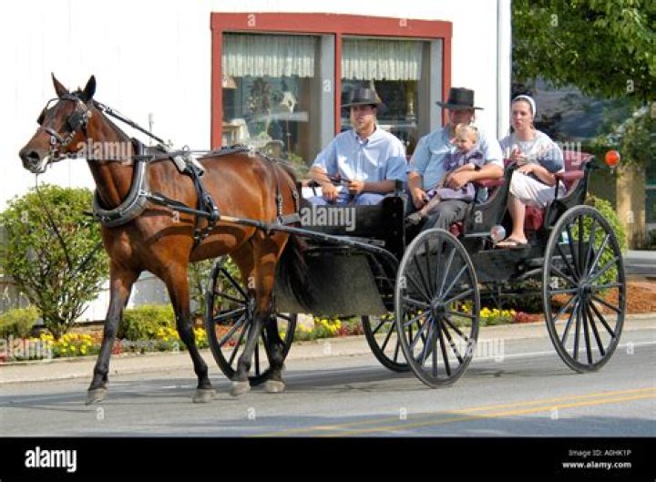 Amish Family Riding Buggy