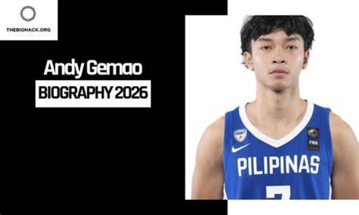 Andy Gemao career
