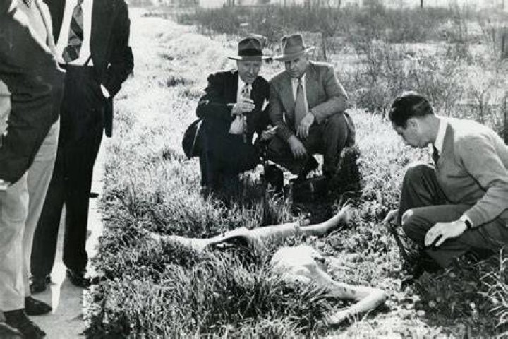 Black Dahlia Crime Scene