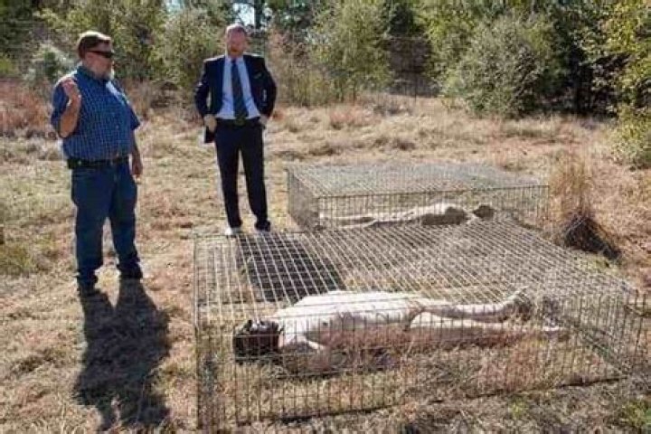 Body Farm Corpses