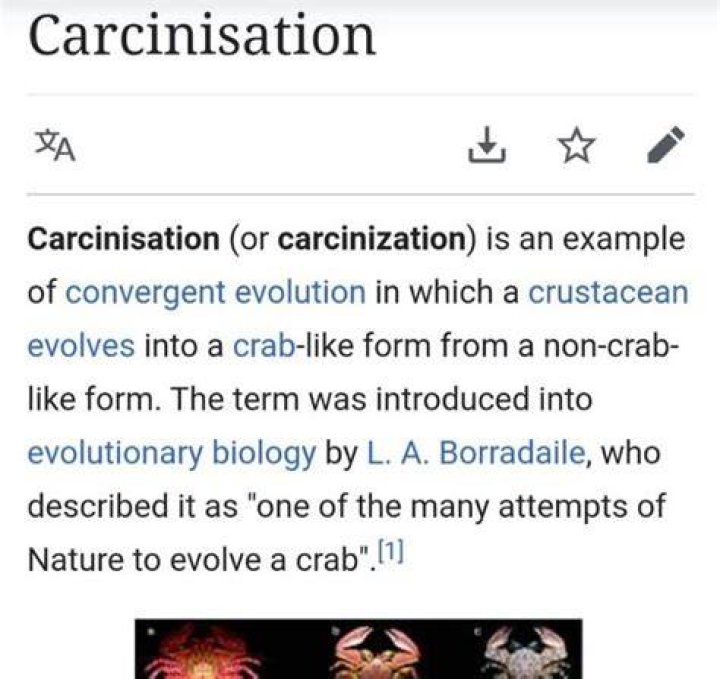Carcinization