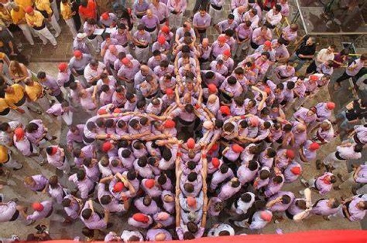 Castellers Competition Purple