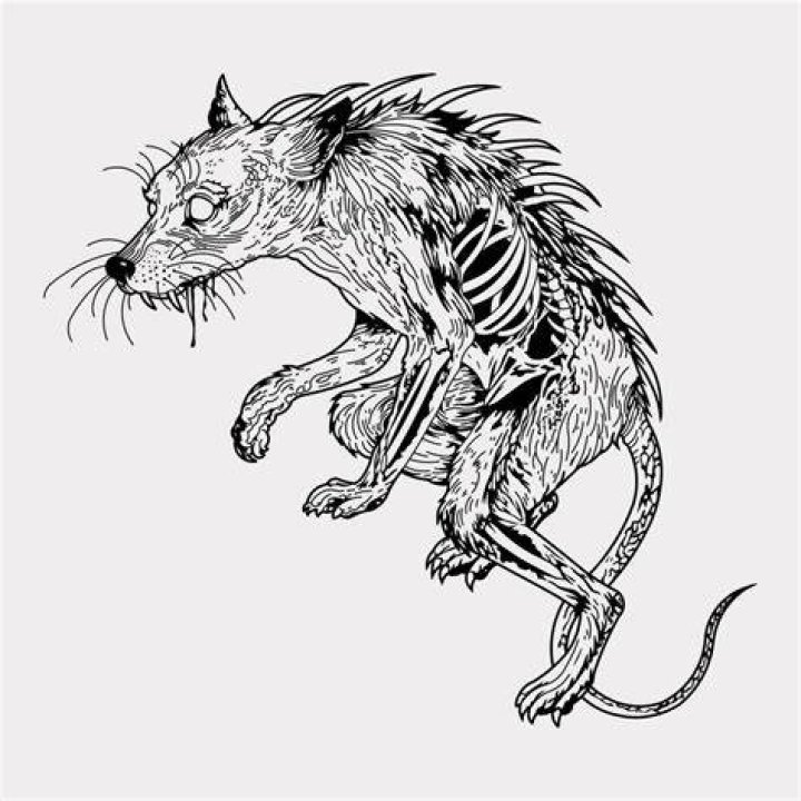Chupacabra Illustration