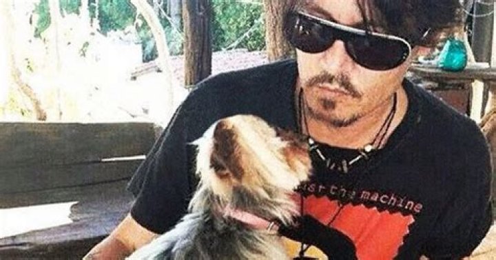 Depp with his pet dog