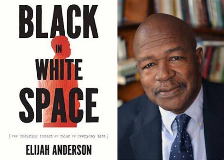 Elijah Anderson About