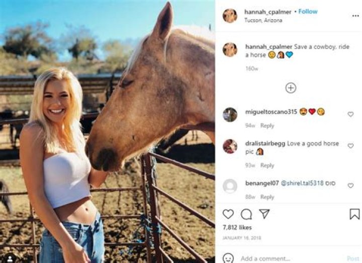 Hannah Palmer likes horse