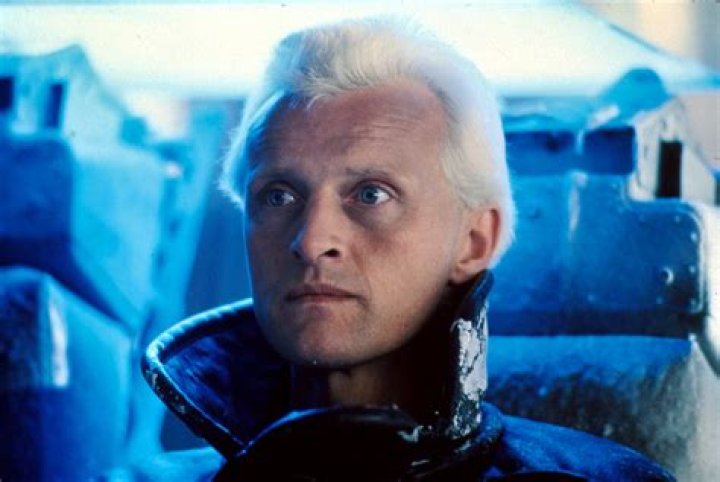 Hauer facts