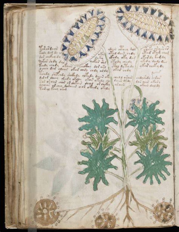 Inside The Voynich Manuscript, The Indecipherable Medieval Codex