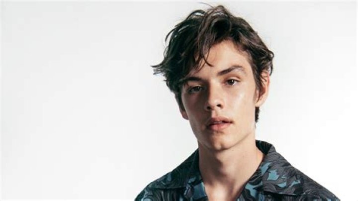 Louis Partridge Career- Actor