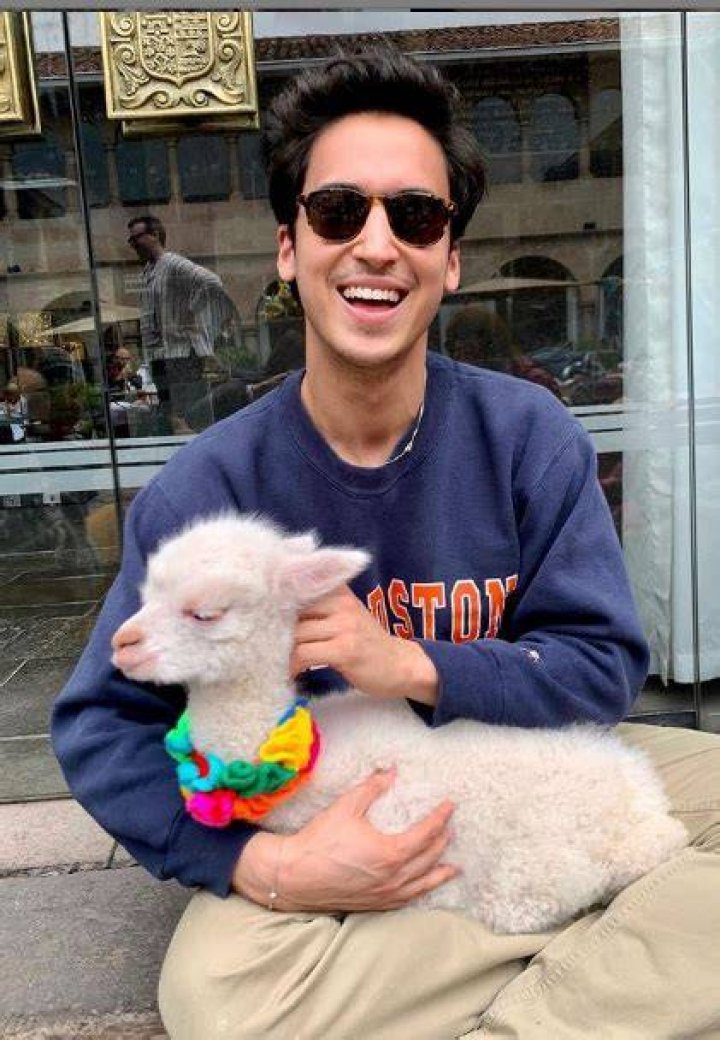 Michael Hsu Rosen loves sheeps