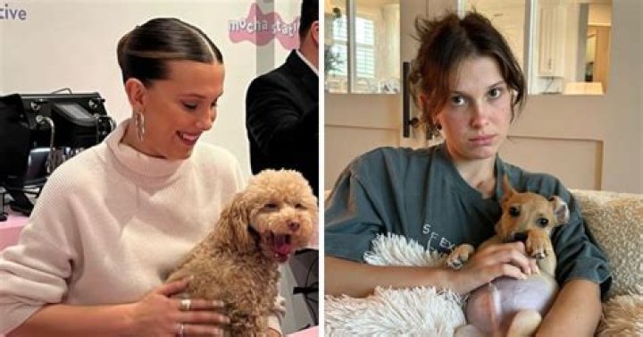 Millie with her pet dog