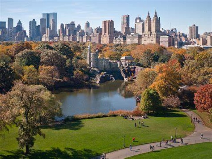 New York From Central Park