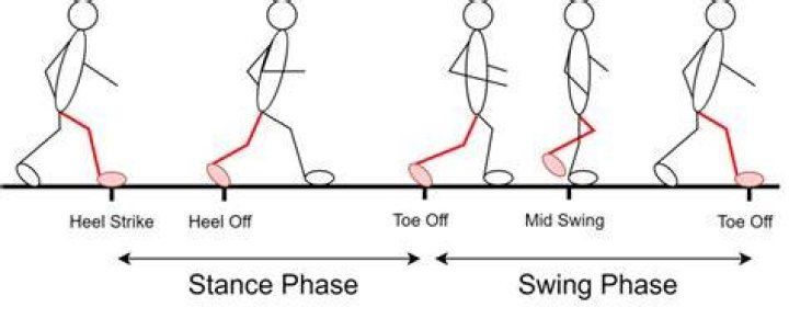 Normal Stance