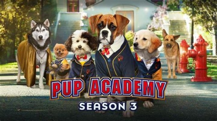 Pup Academy Season 3 spoiler
