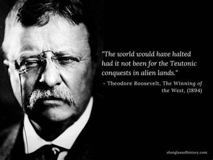 Quotes From Teddy Roosevelt