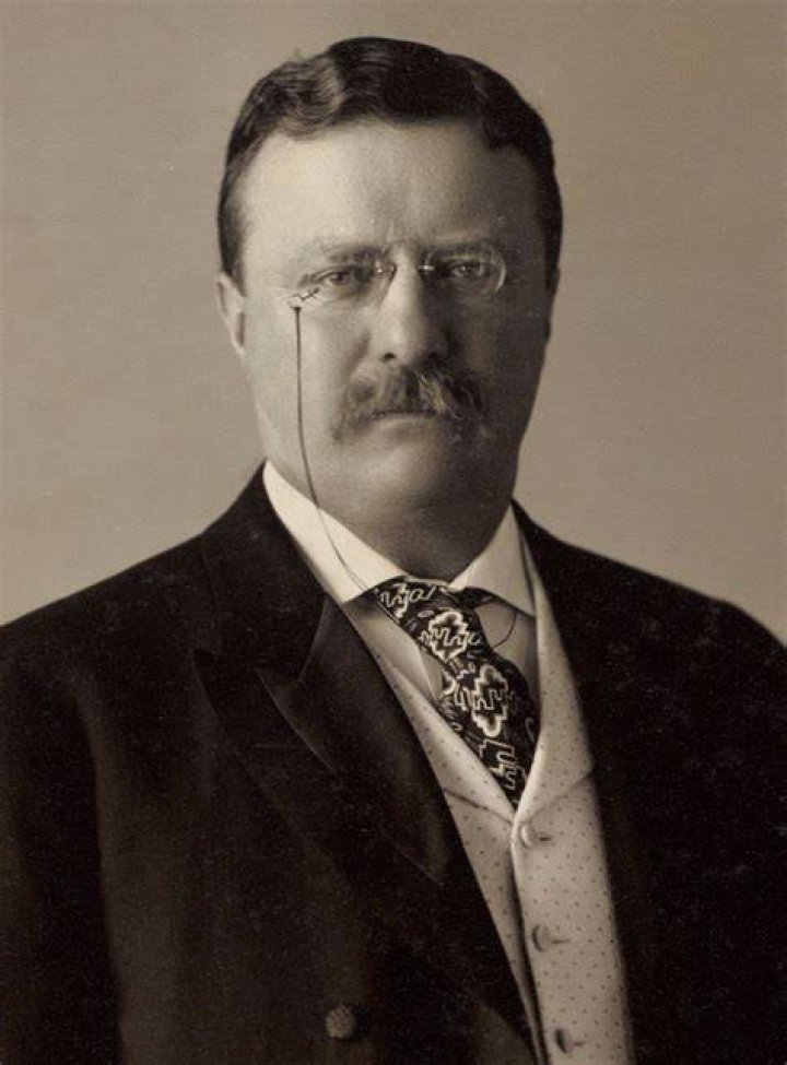 Roosevelt 1904