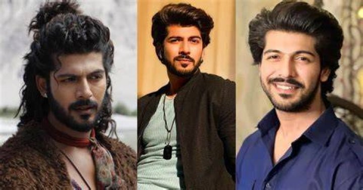 Sheezan Khan net worth