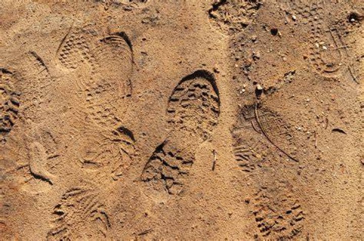 Shoe Prints Of The East Area Rapist