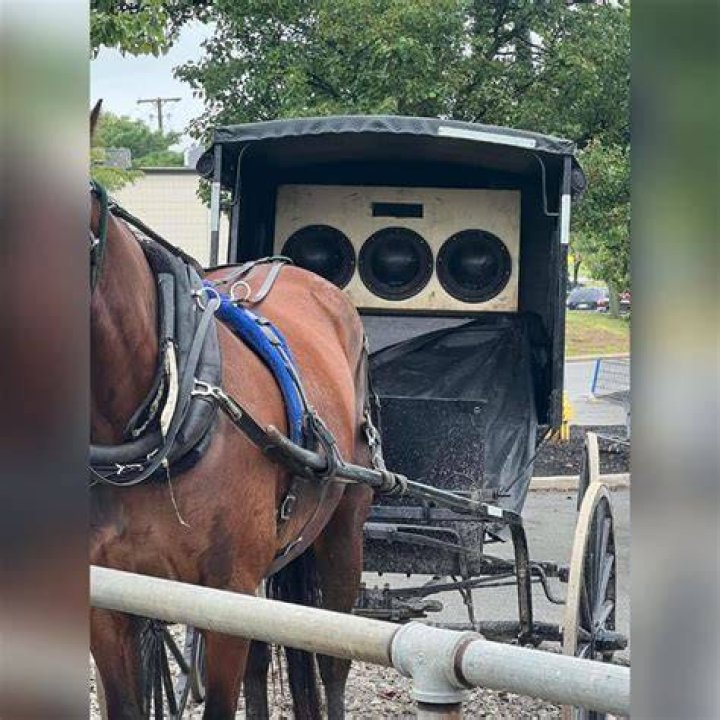 Stereo System In Amish Buggy