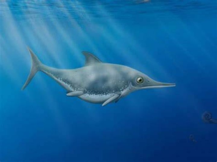 Thalassodraco Etchesi