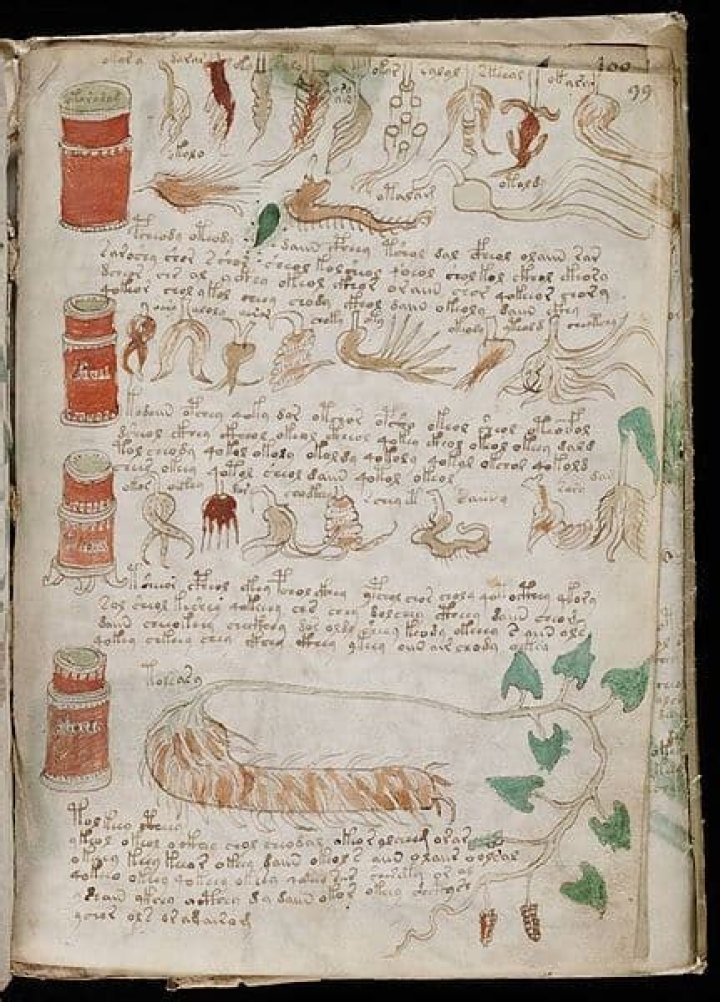 Voynich Manuscript